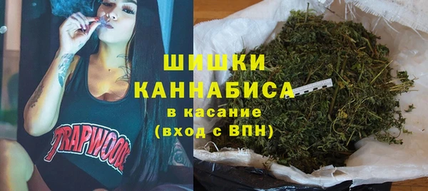 MESCALINE Каменка