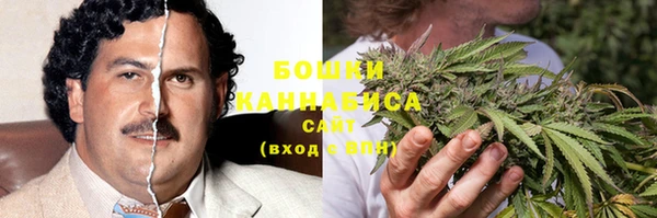 MESCALINE Каменка